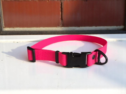 OBROŻA DLA PSA WODOODPORNA Z KLAMRĄ METALOWĄ I SHELBY - WOOFY COLLAR METAL CLICK