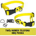 OBROŻA WODOODPORNA Z KLAMRĄ PLASTIKOWĄ | SHELBY - WOOFY COLLAR LIGHT CLICK