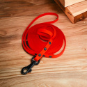 SMYCZ DLA MAŁEGO PSA WODOODPORNA HEXA TYPU BIOTHANE 10MM I SHELBY WOOFY LEASH