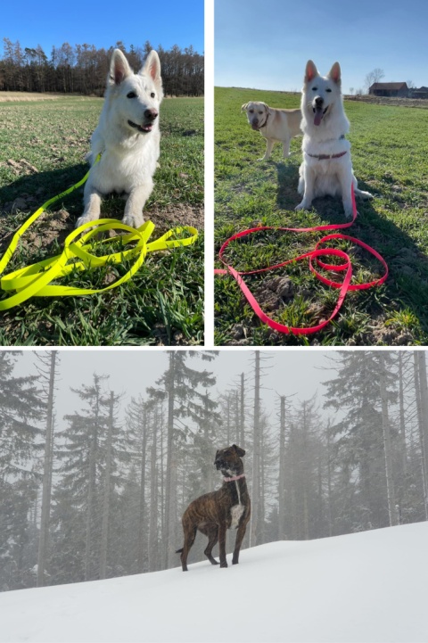 Smycz dla średniego psa wodoodporna z taśmy Hexa 16mm fioletowa ShelbyPets