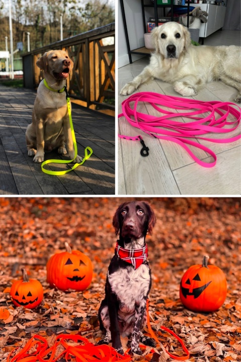 Smycz dla średniego psa wodoodporna z taśmy Hexa 16mm różowa ShelbyPets