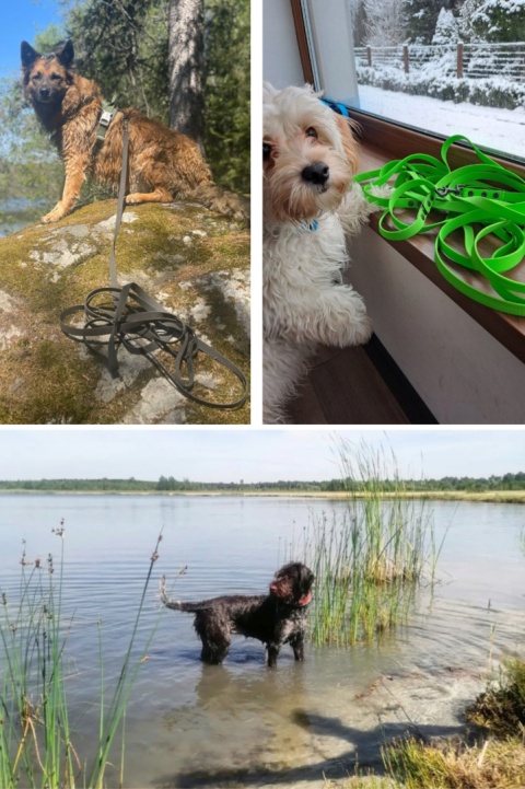 Smycz dla średniego psa wodoodporna z taśmy Hexa 16mm różowa ShelbyPets