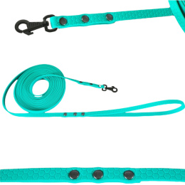 SMYCZ DLA MAŁEGO PSA WODOODPORNA HEXA TYPU BIOTHANE 10MM I SHELBY WOOFY LEASH