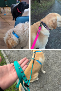 SMYCZ DLA ŚREDNIEGO PSA WODOODPORNA HEXA TYPU BIOTHANE 16MM I SHELBY WOOFY LEASH