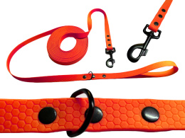 SMYCZ DLA DUŻEGO PSA WODOODPORNA HEXA TYPU BIOTHANE 20MM I SHELBY WOOFY LEASH